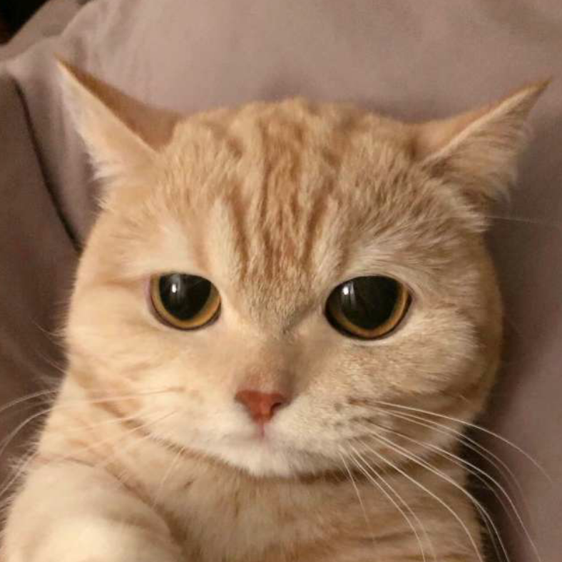 黑玫瑰