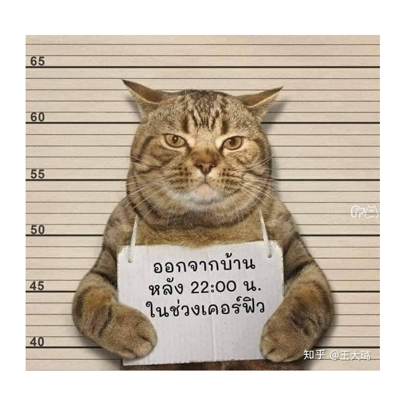几许