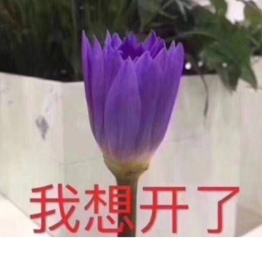 菜是原罪，非 是注定