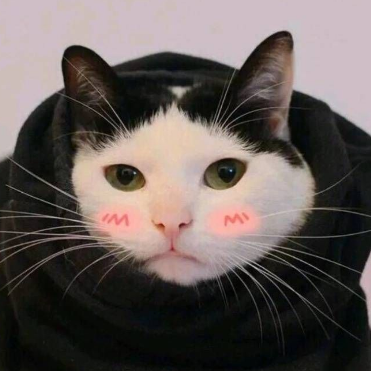 愿你常留