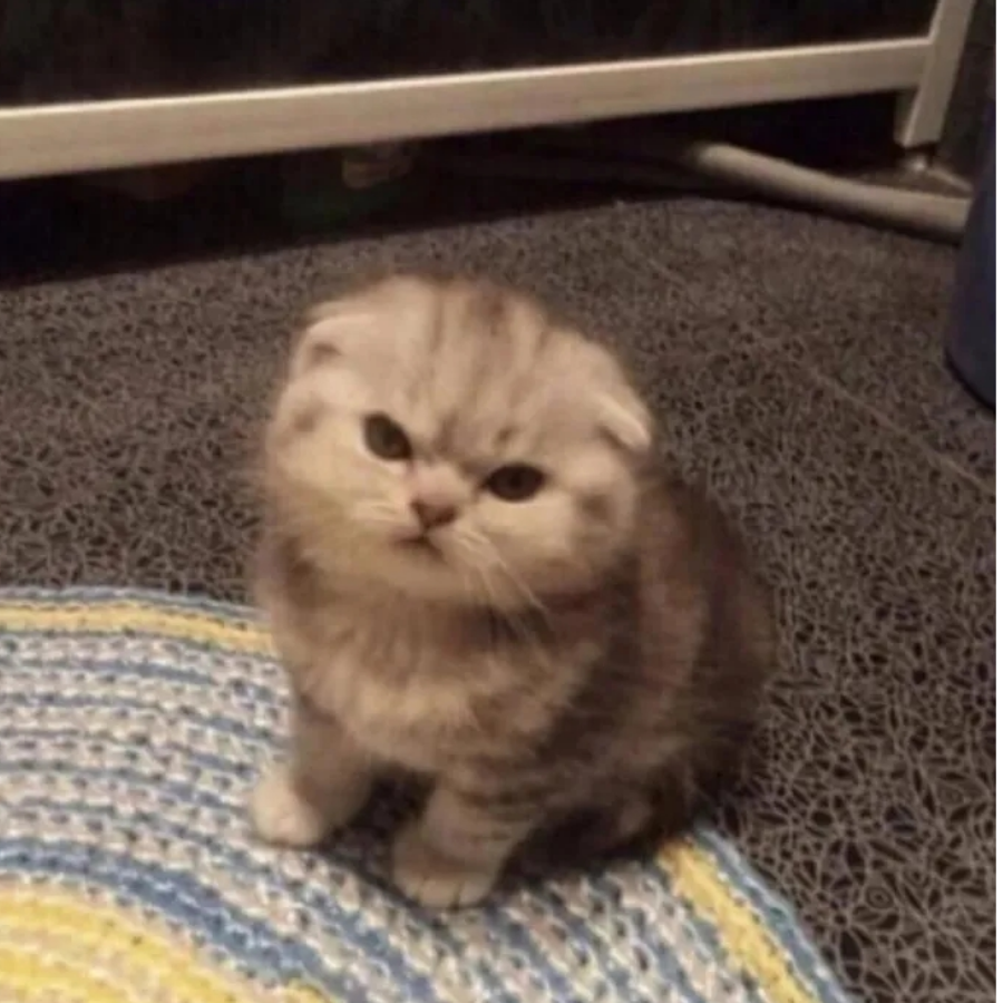 某某