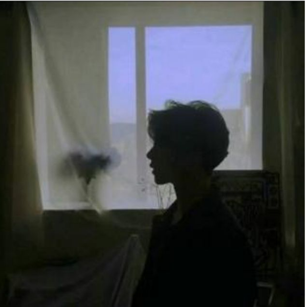 鹤枫君