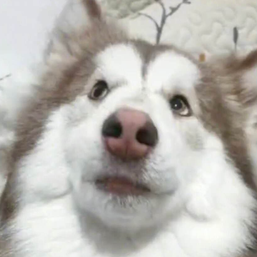道阻且长