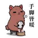 狸喵～