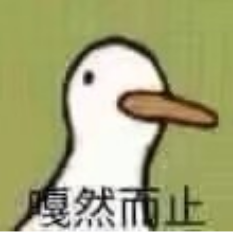 子涛w