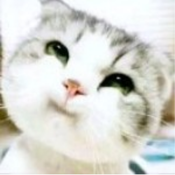 柠檬