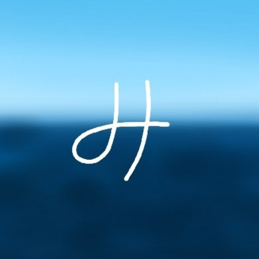 一只老H