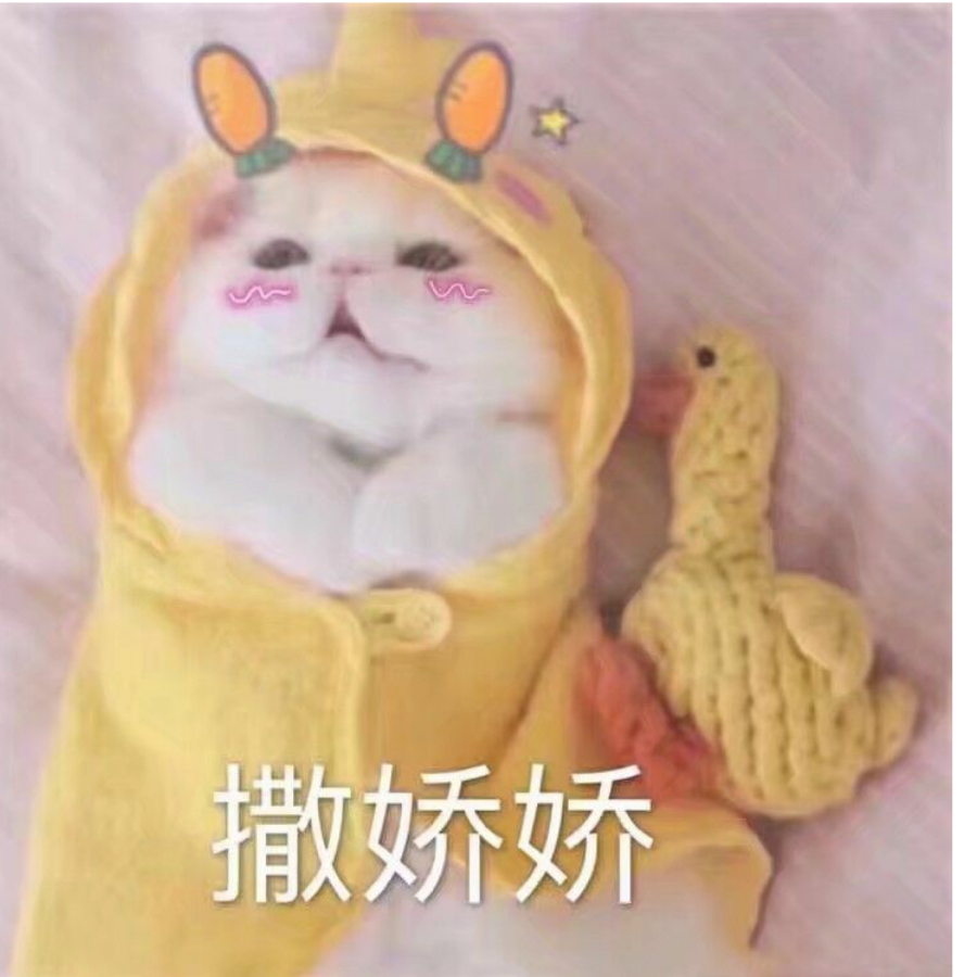是柔柔呀