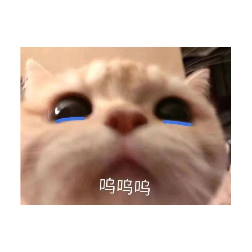 尚遥远的春