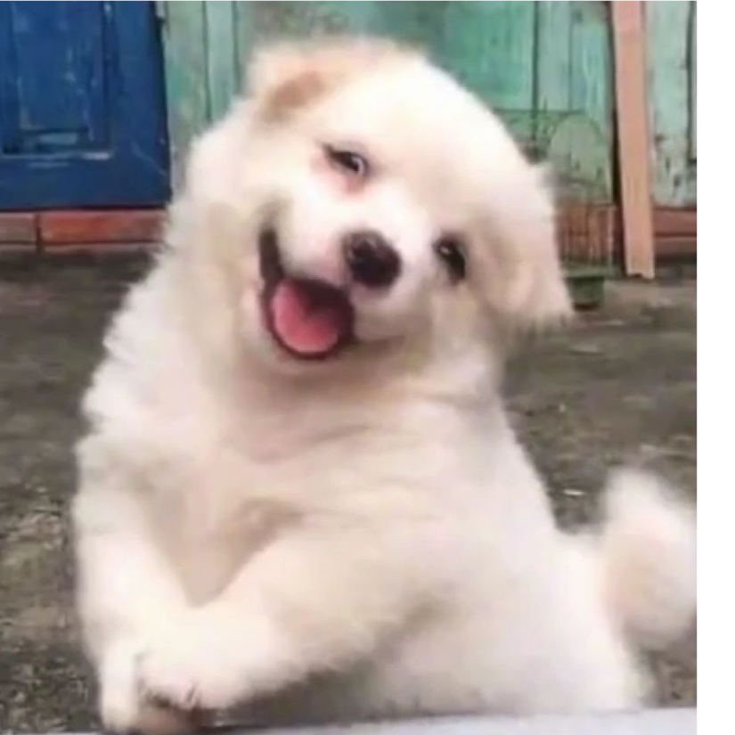 江沉晚吟时