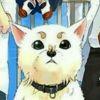 香肠君