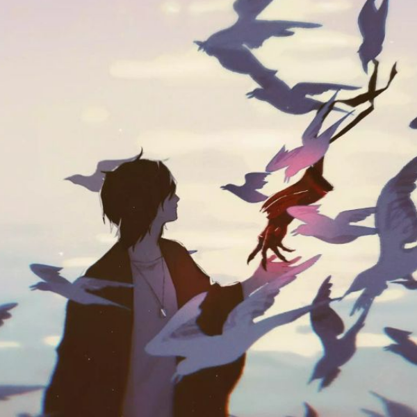 如梦似幻初四君