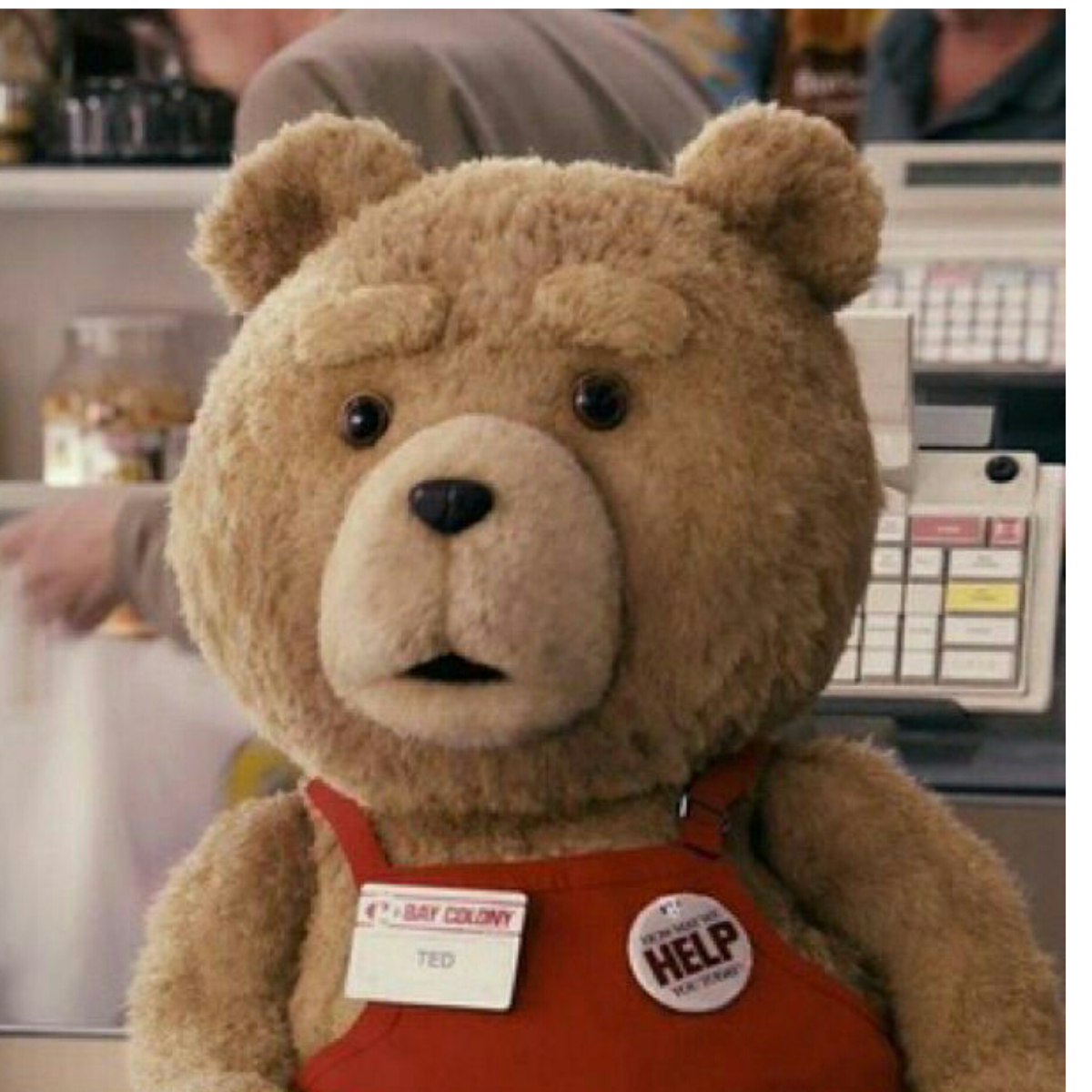 TED