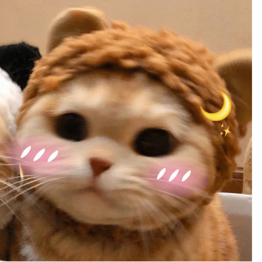 凯瑟琳