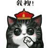 User1325207