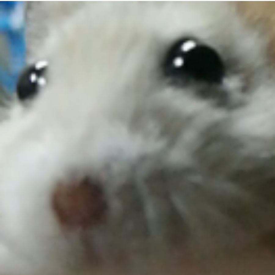 fifi
