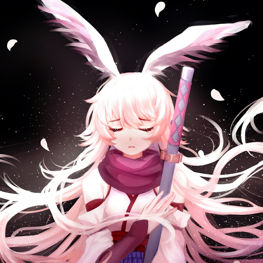 Echo de。