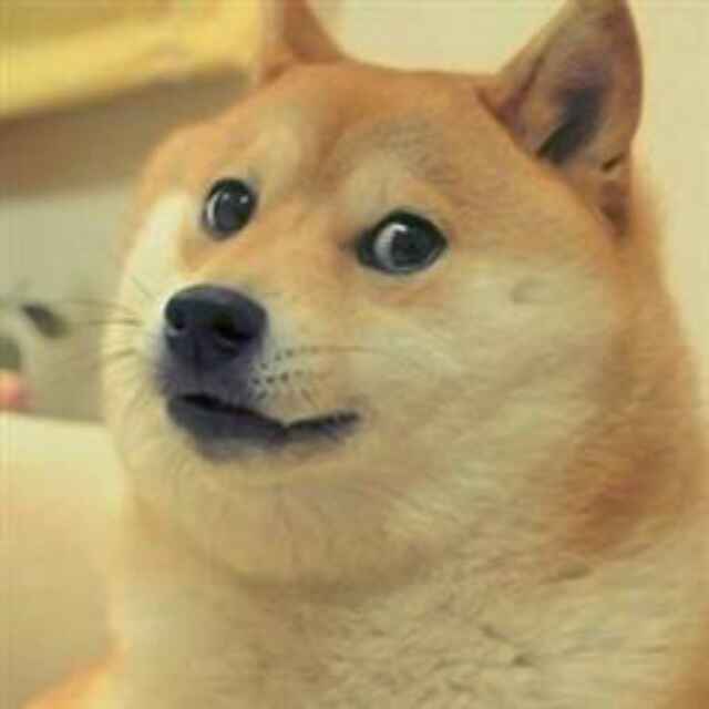 12doge