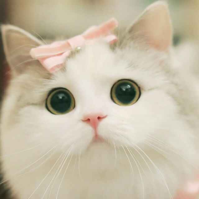 三生河畔