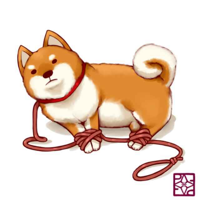 法科德