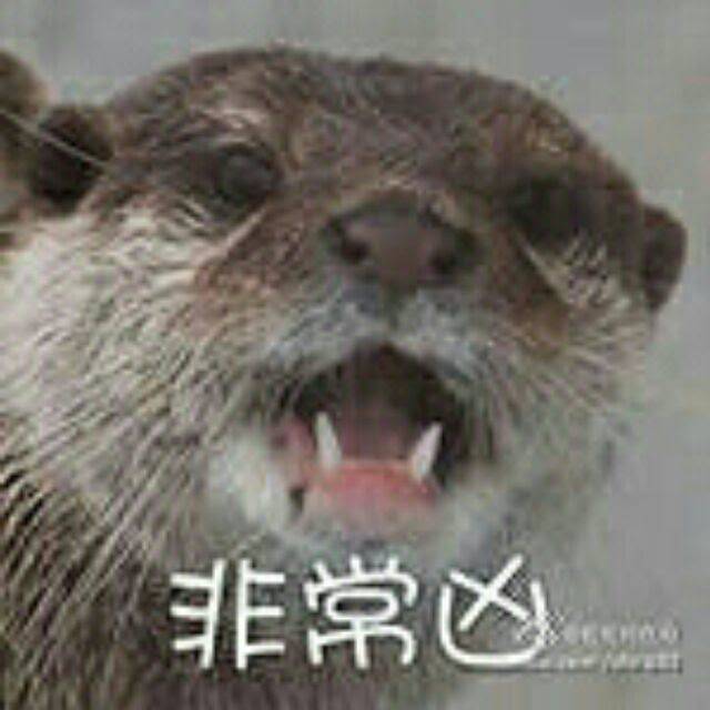 龍尾巴