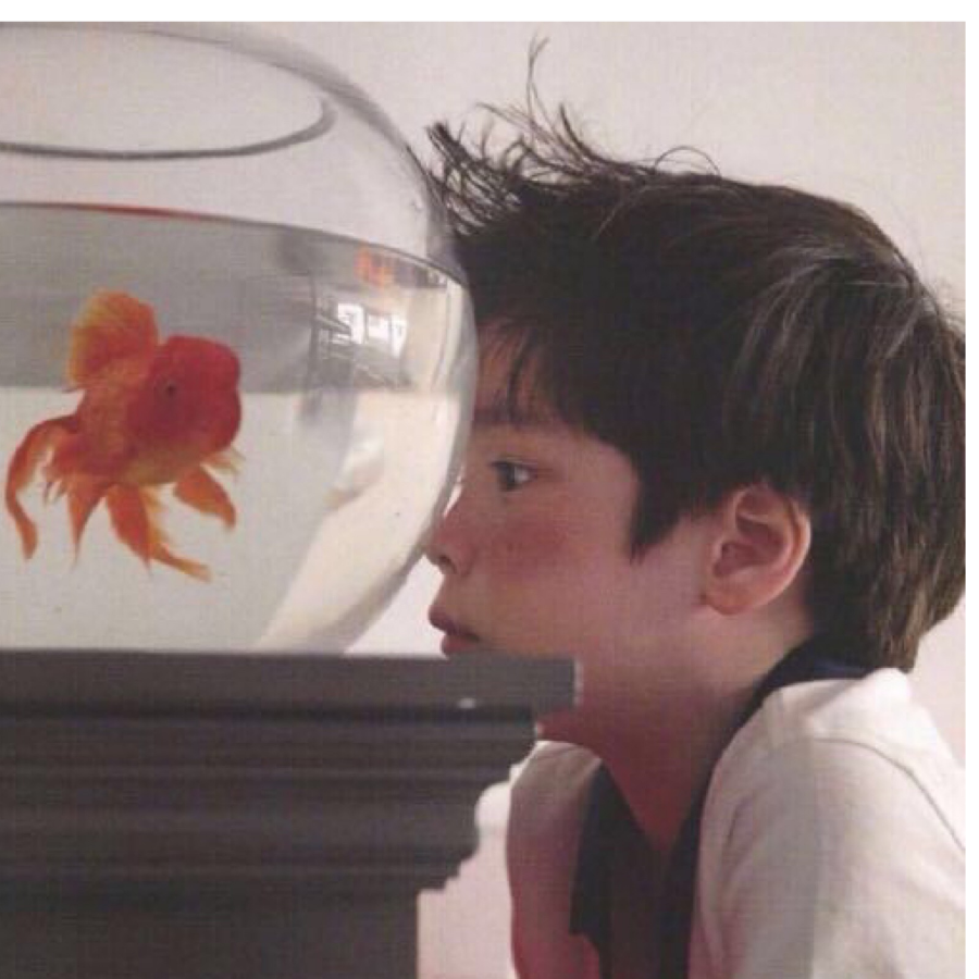 故梦丶