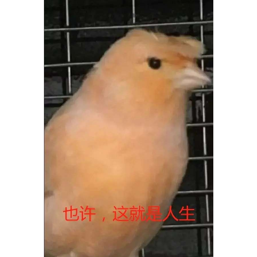 元潇