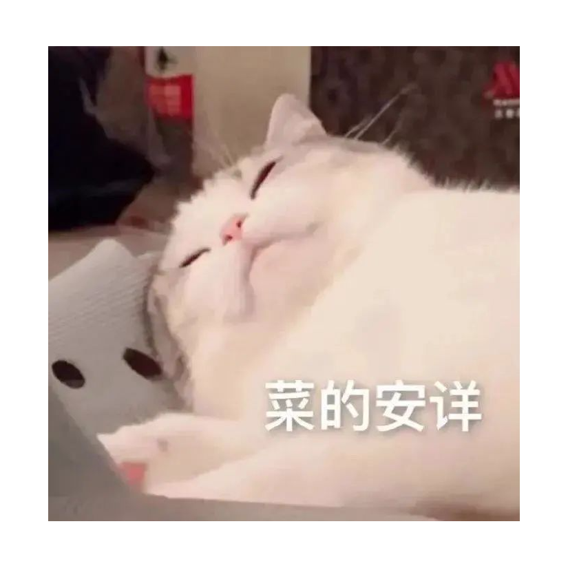 是团团啊?!