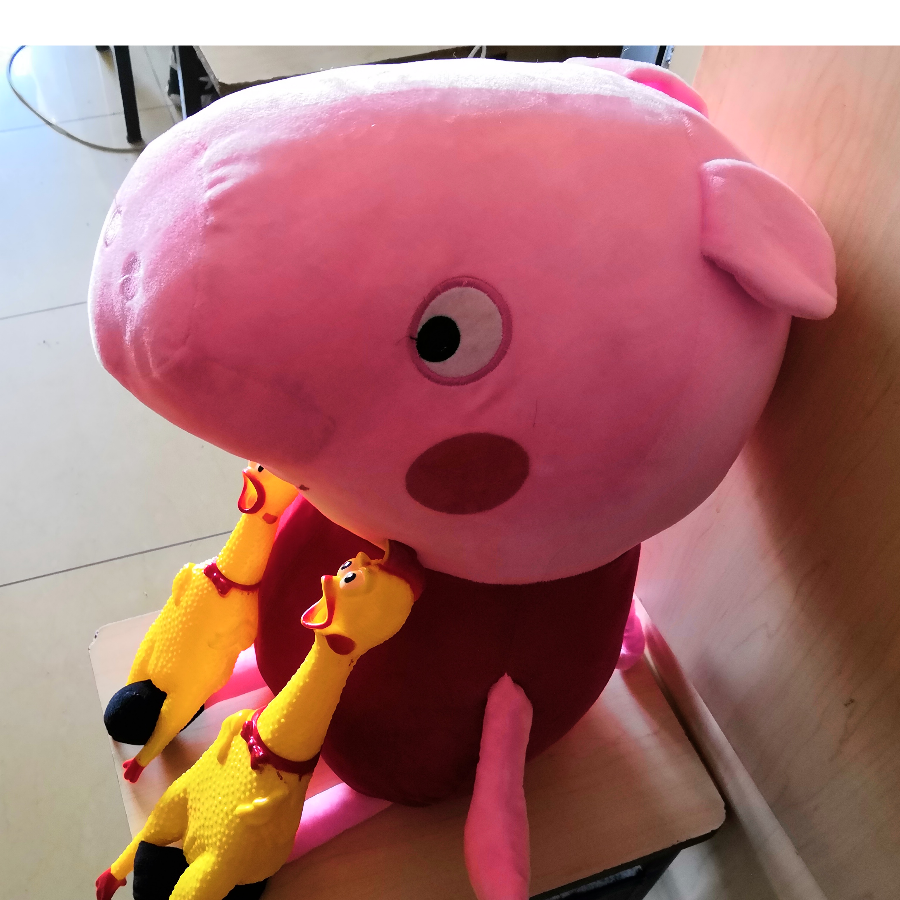 某不知名的大佬