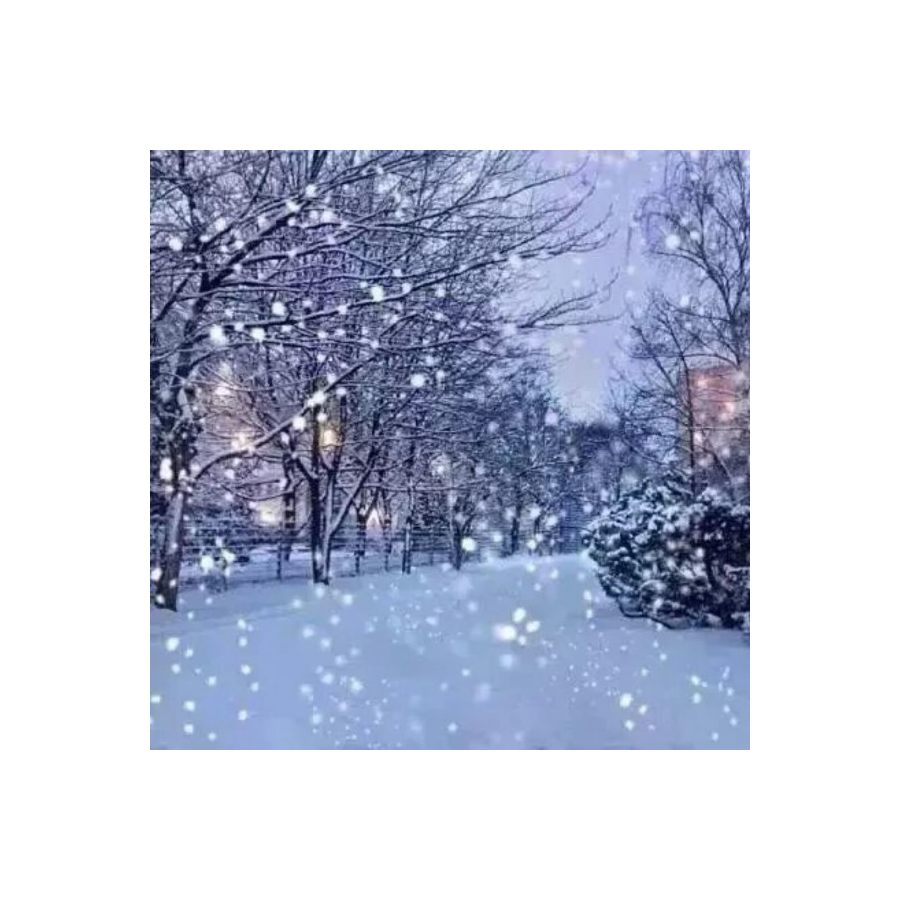 逝影与雪