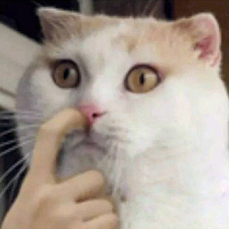 你头发乱了