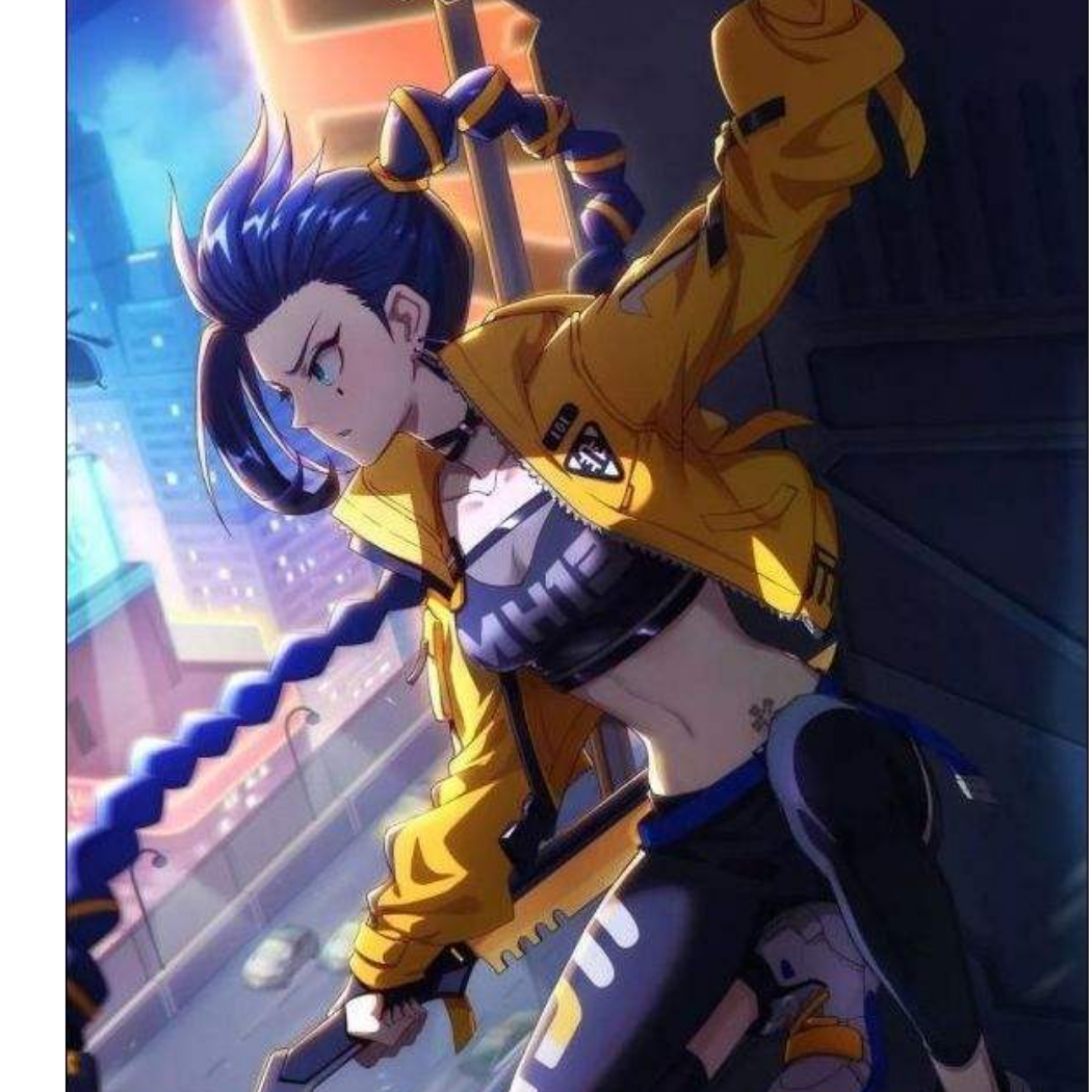 梅花十三(๑✧◡✧๑)