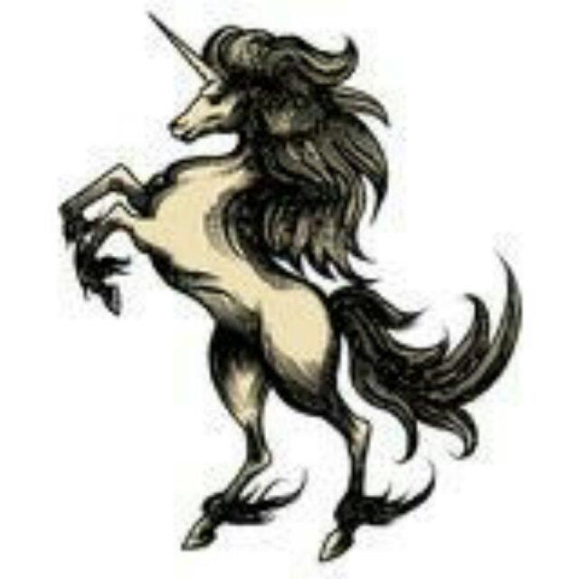 Unicorn~刘俣辰