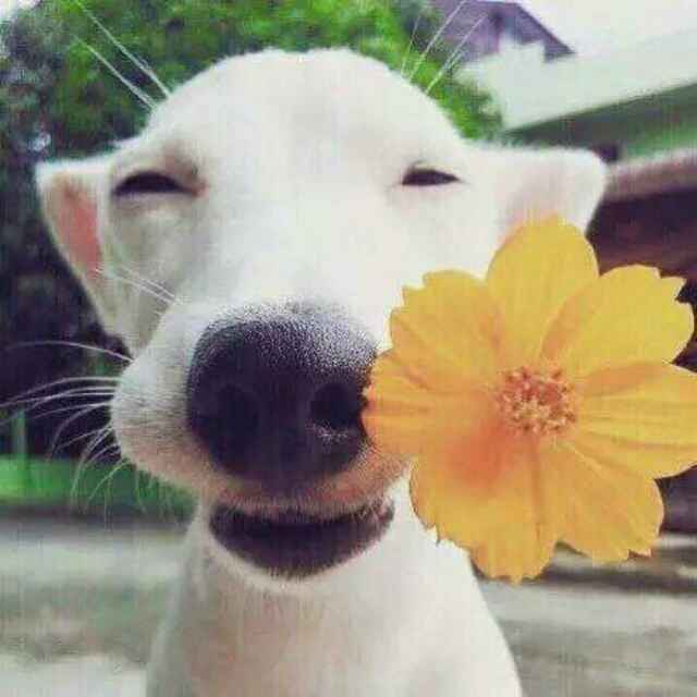 一个姓陈的老男人