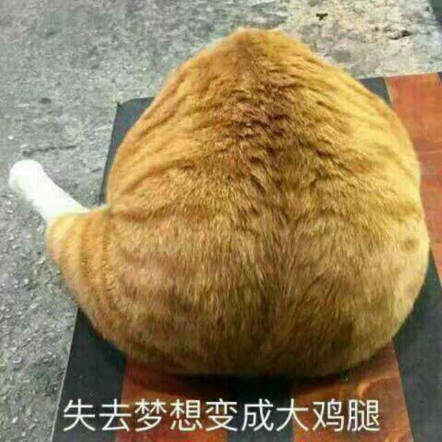 猕猴桃爸爸