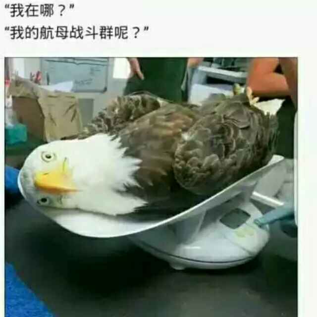 易门