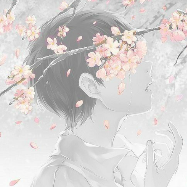 她的他