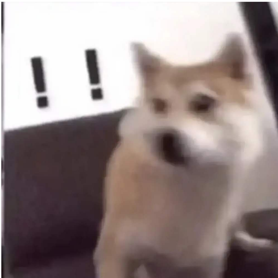 嘤帝质疑