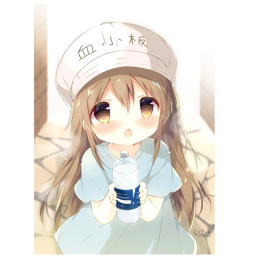 暮夏