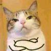 。。。