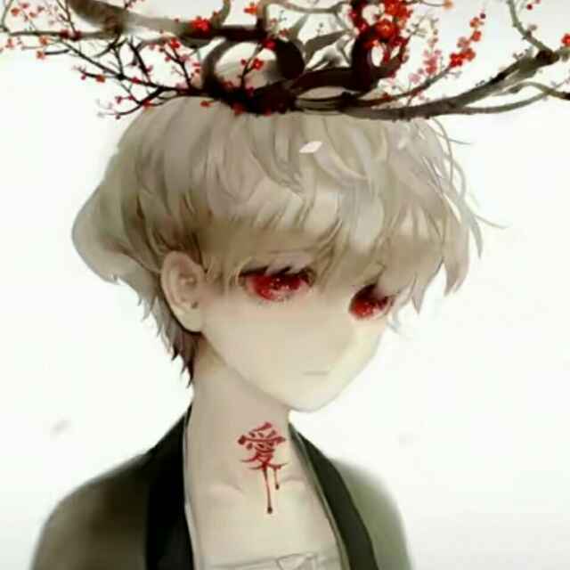 一叶一轮回