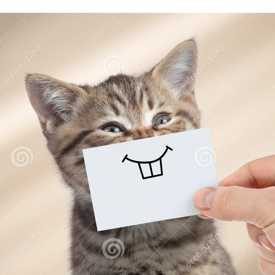 啊哈哈