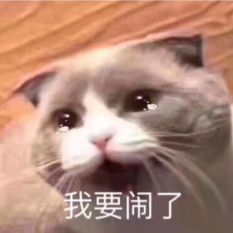 流泪猫猫头