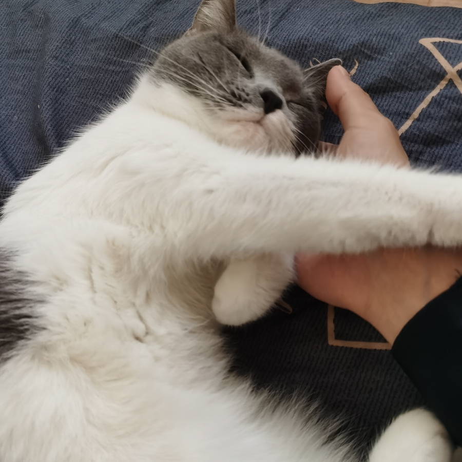 念念不忘必有回响