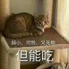 不想被解剖的大白