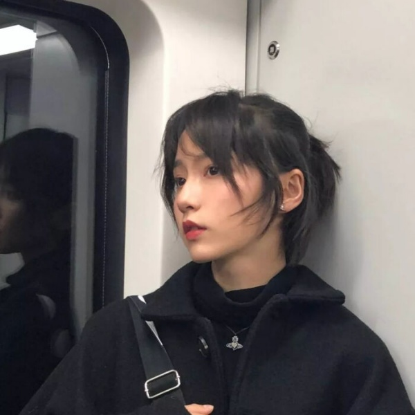 犬来八荒