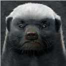 月舞花溪剑轻吟