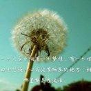 无可救药