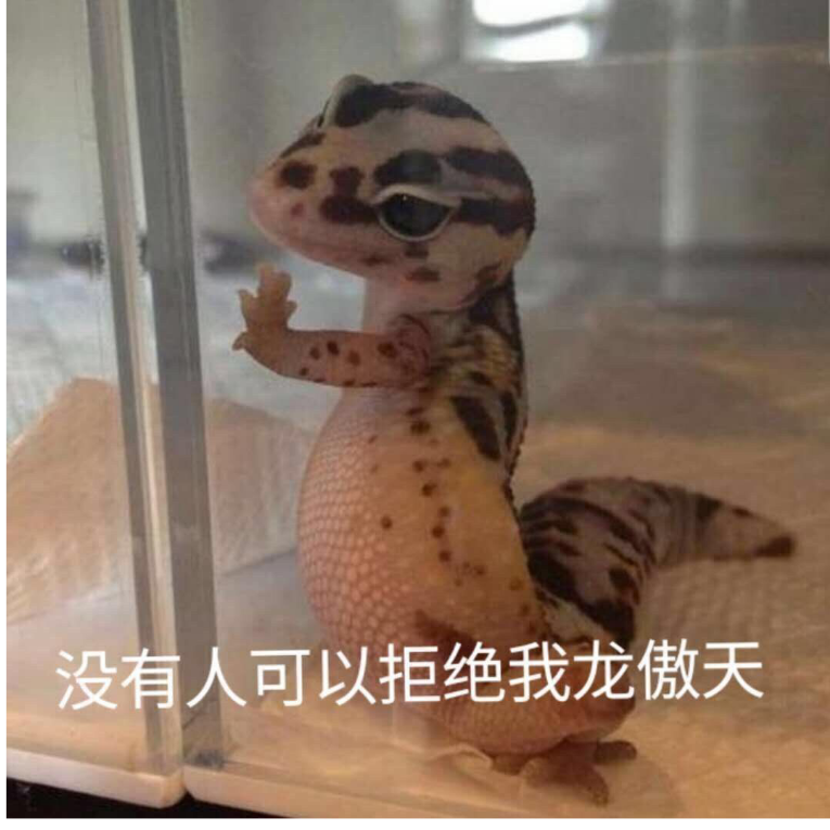 我不是啊龙