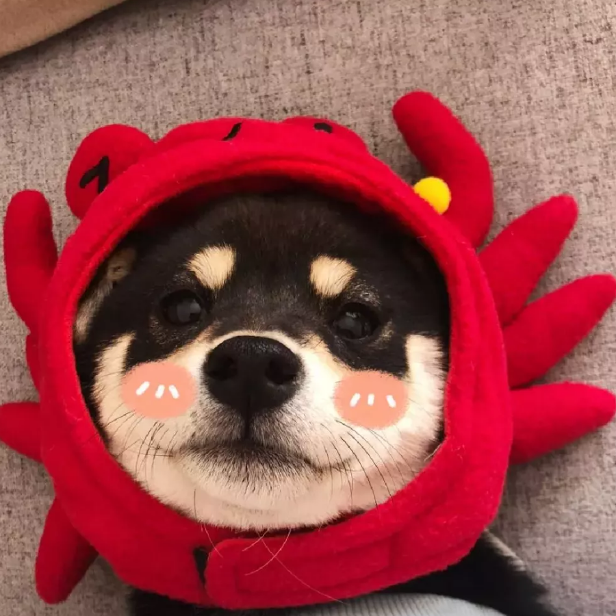 小甜甜